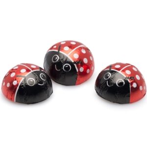 ASTIR.שוקלד חלב עיגולים חיפושית 400 גרם 121